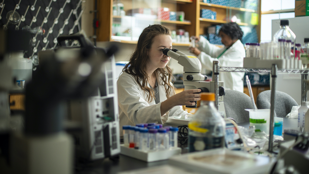 fellowship student at a microscope