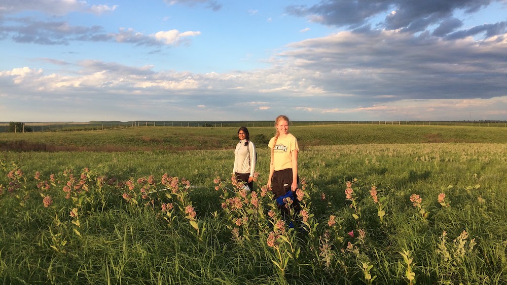 sustainability students in the field