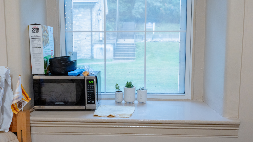 microwave and window in dubios